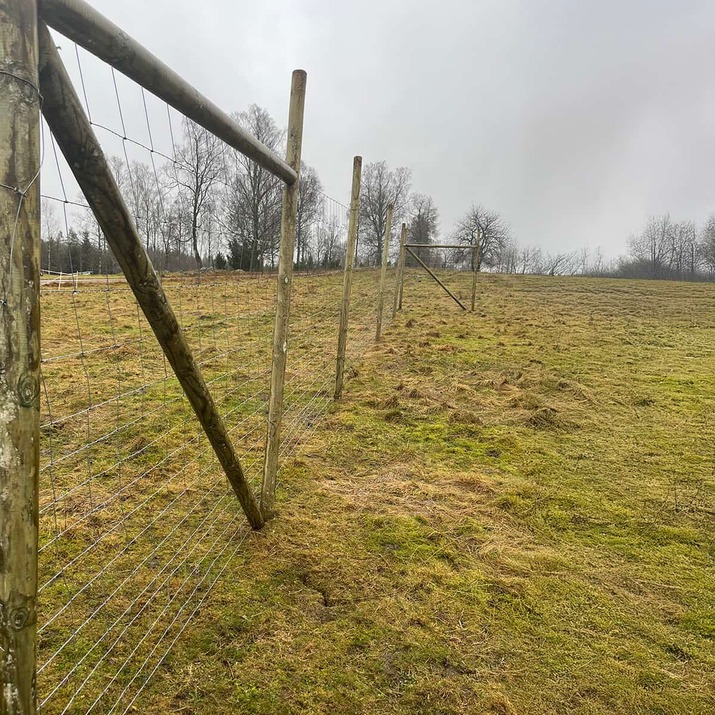 Płot przeciw dzikiej zwierzynie
