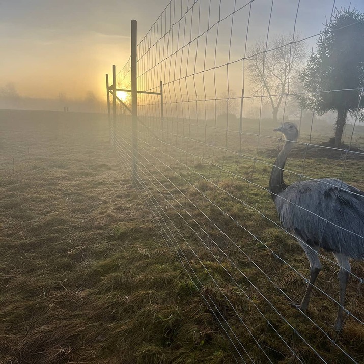Płot przeciw dzikiej zwierzynie