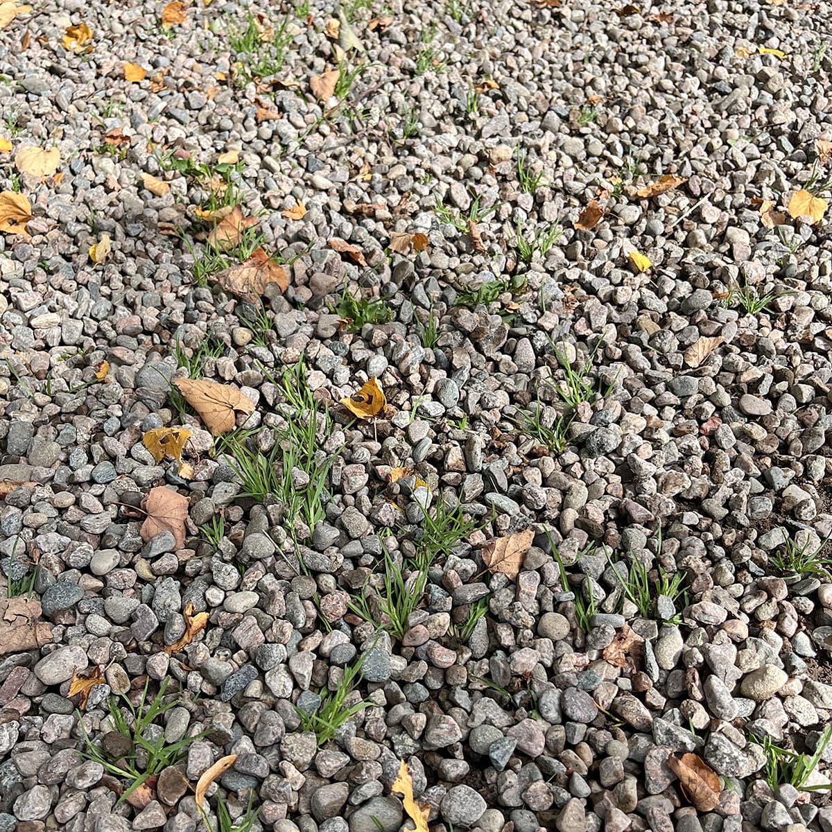 Równiarka do podjazdów i dróg 