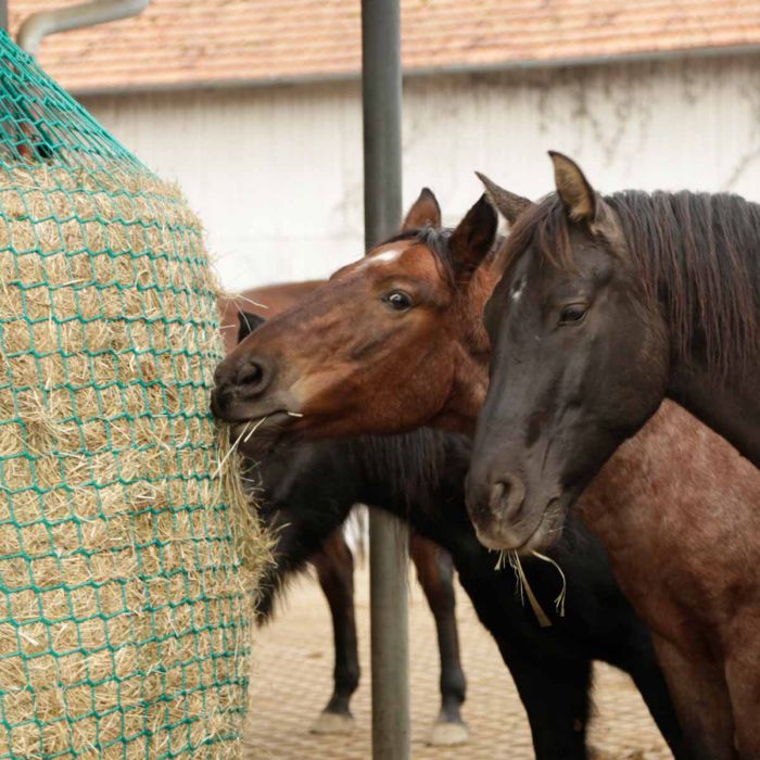 Siatka na siano do beli okrągłych, podwieszana, SlowFeeder