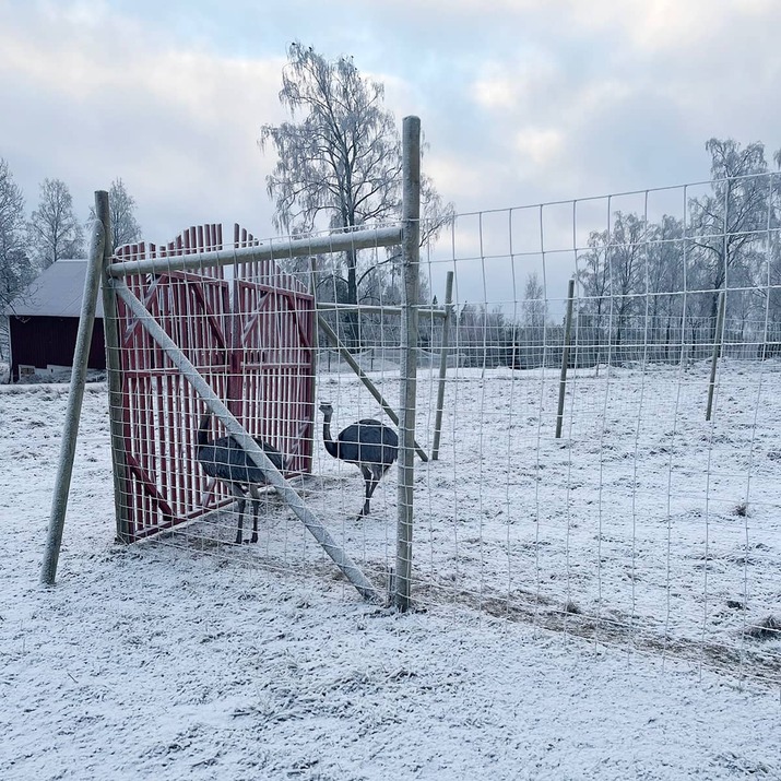 Płot przeciw dzikiej zwierzynie