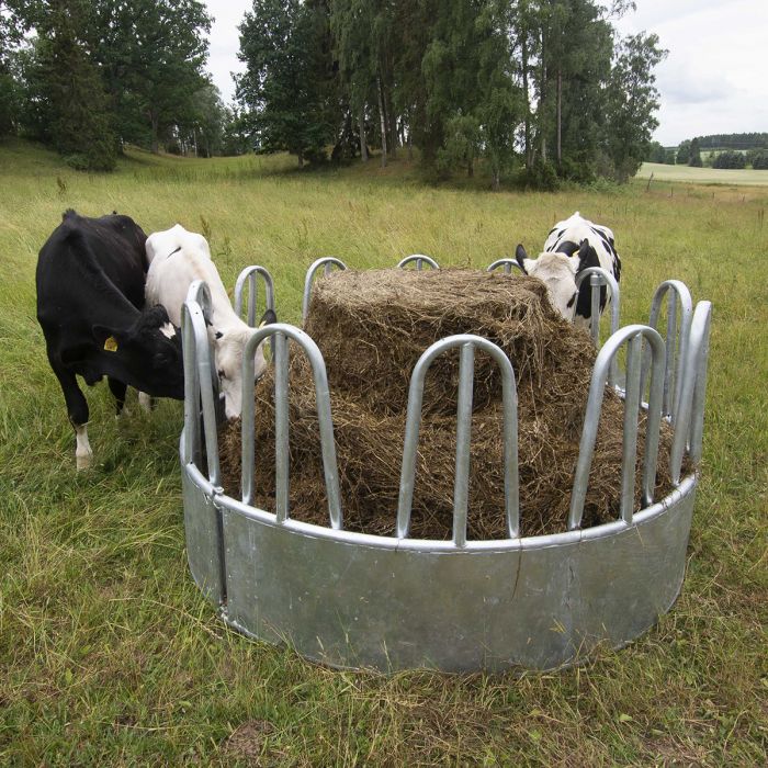 Paśnik dla bydła, ze wspornikami łukowymi, 12 stanowisk