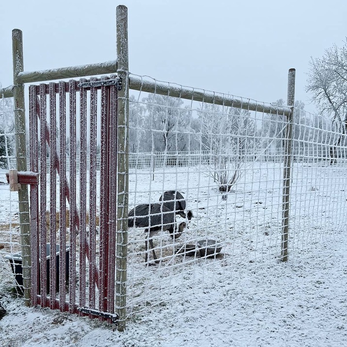 Płot przeciw dzikiej zwierzynie