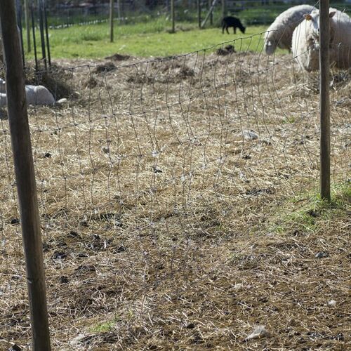 Ogrodzenie dla owiec 100 m x 1,2 m x 2 mm