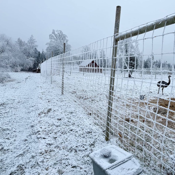 Płot przeciw dzikiej zwierzynie