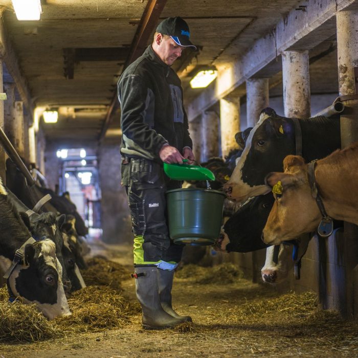 Plastikowa szufelka do paszy i zboża z uchwytem 