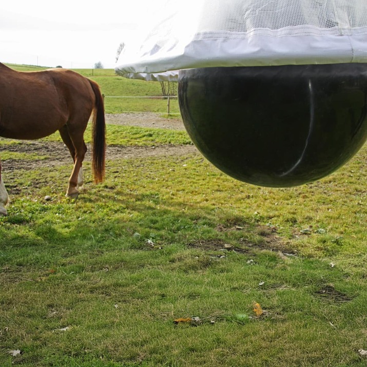 Pułapka na gzy oraz muchy końskie TaonX