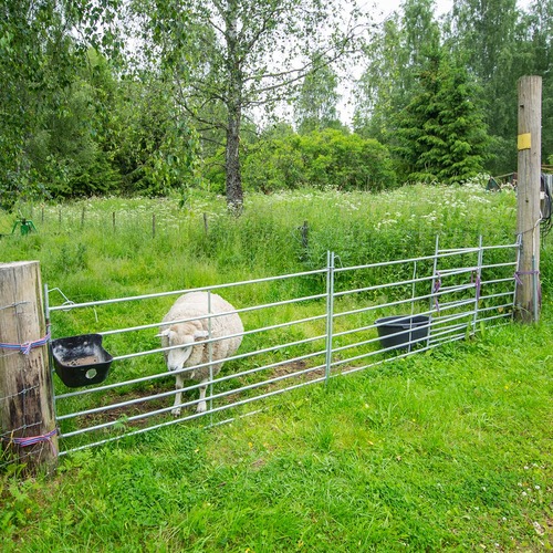 Bramka dla owiec 2,0 m